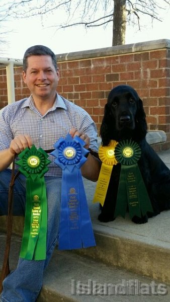 Tripper_2017 Field Spaniel Specialty_Obedience.Rally